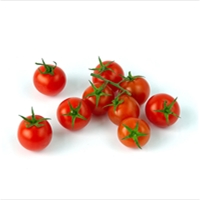 Cherry Tomatoes