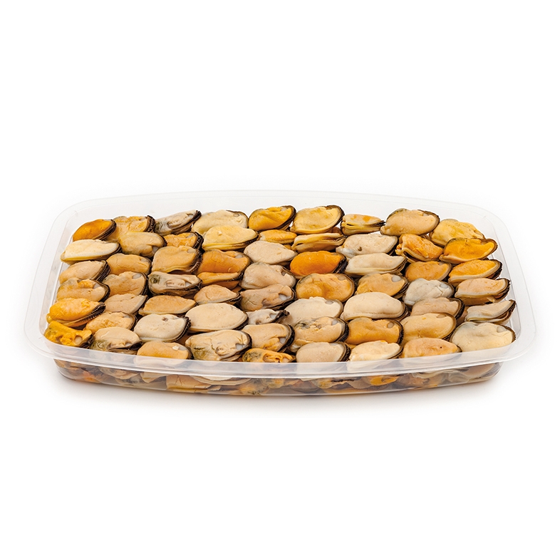 Mussels Seafood Benina Qatar Premium Food Importers and